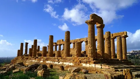 中国运动员在亚冬会上表现卓越，成绩斐然