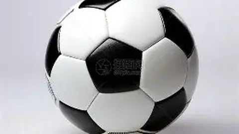 陈哲超关键进球，梅州客家逆袭山东泰山问鼎中超